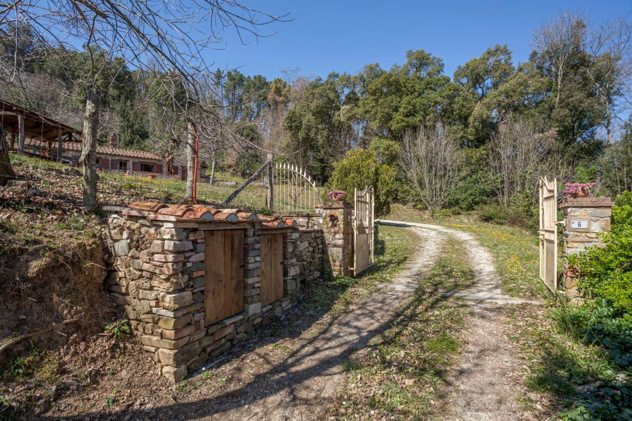 Casa Nel Bosco Villa Sassetta Buitenkant foto