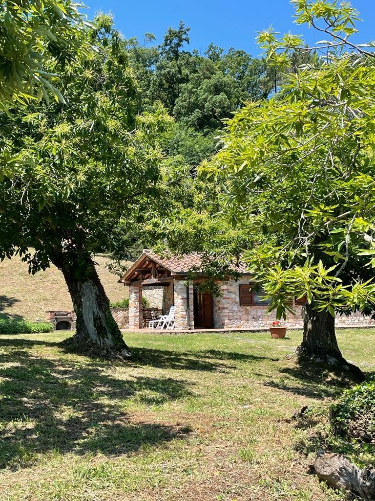 Casa Nel Bosco Villa Sassetta Buitenkant foto